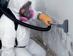 Best Comprehensive Air Testing for Mold Contaminants  in Isla Vista, CA